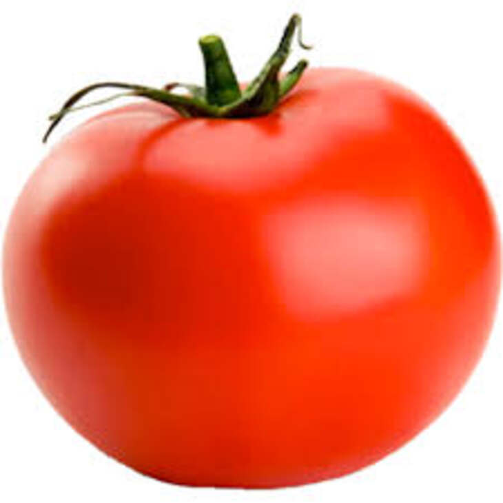 49 93 tomaten los