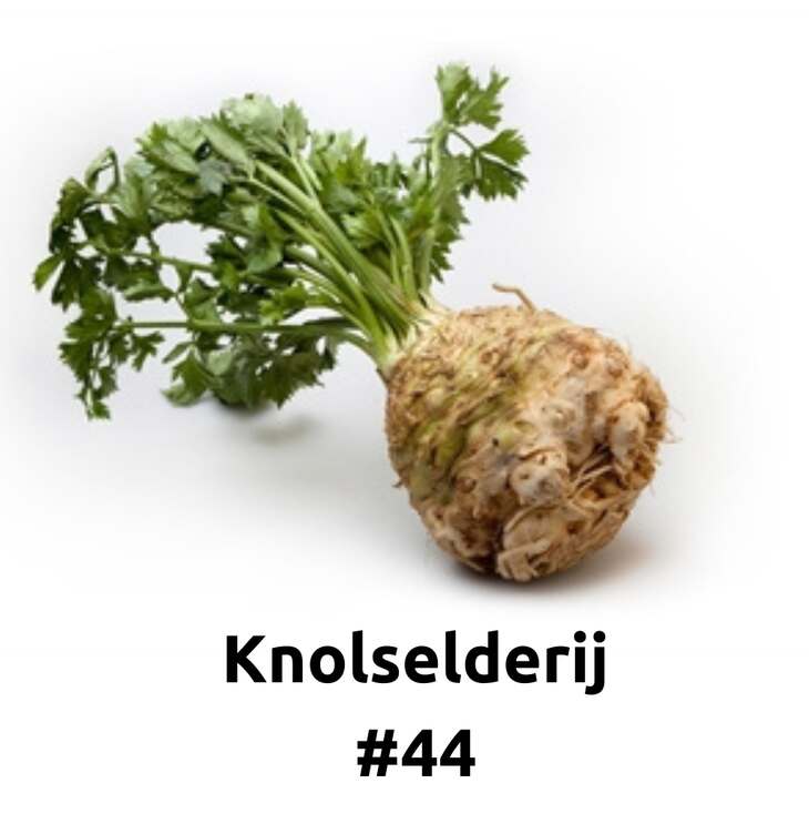 80 Knolselderij