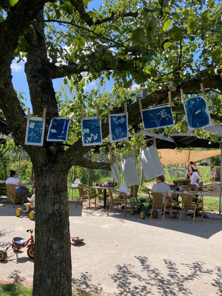 Cyanotype mooi