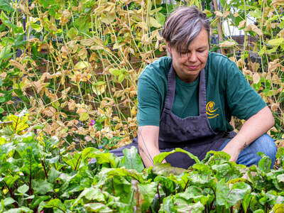 De Moestuin Utrecht 4