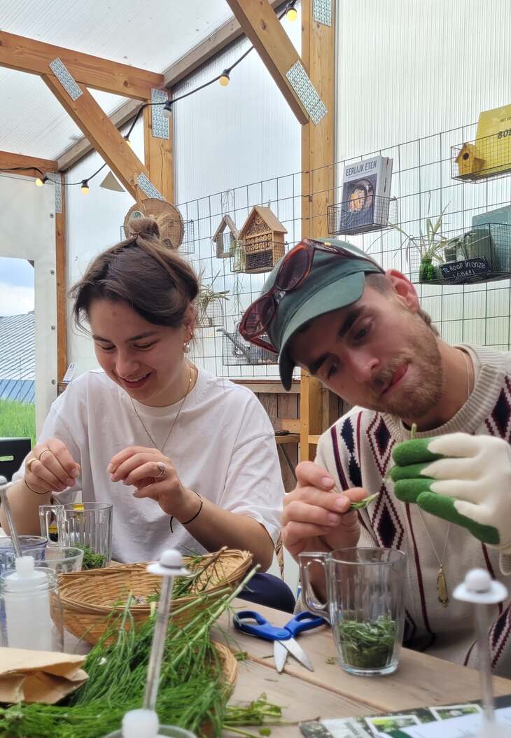 De moestuin shampoo workshop