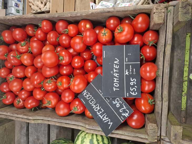 Jules tomaten