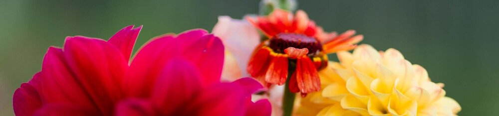 Kleinformaatkijkomtezien22