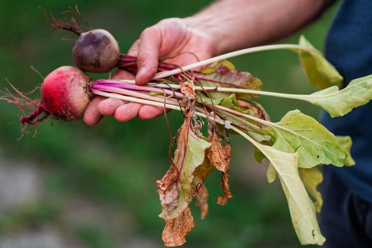 Kleinformaatkijkomtezien7