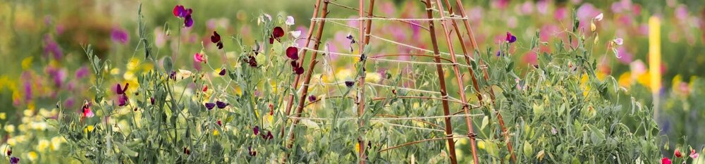 Kleinformaatkijkomtezien13