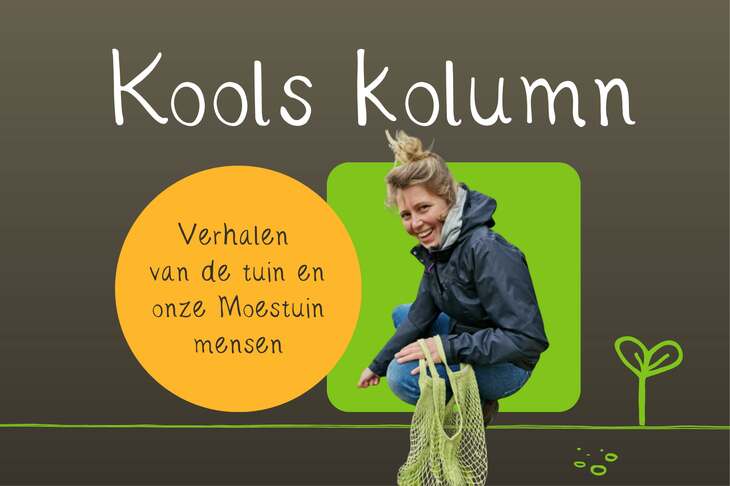 Kools kolumn website NB 2