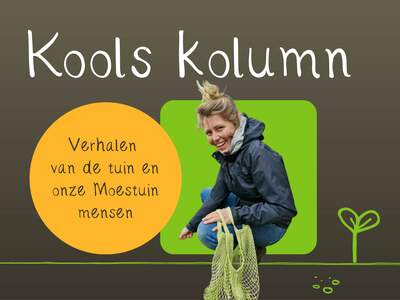 Kools kolumn website NB 3