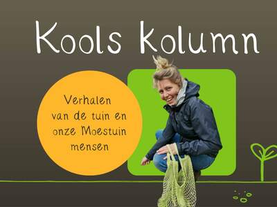 Kools kolumn website NB 5