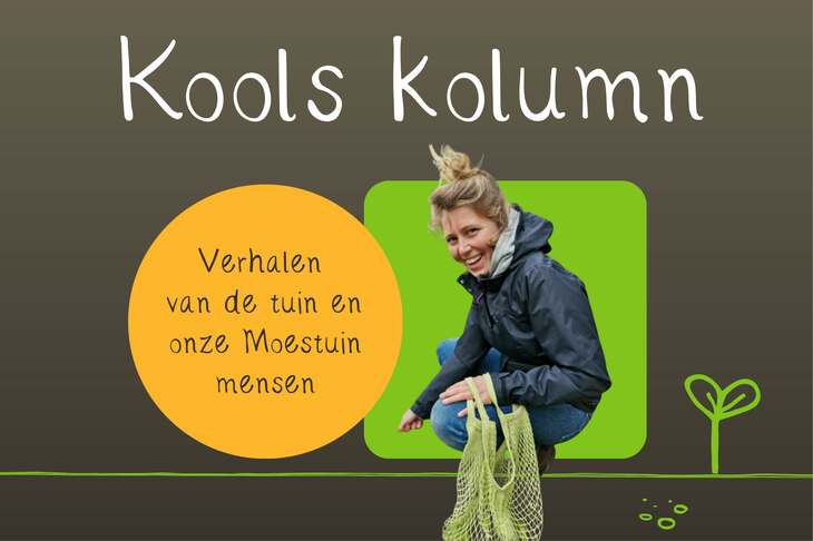 Kools kolumn website NB