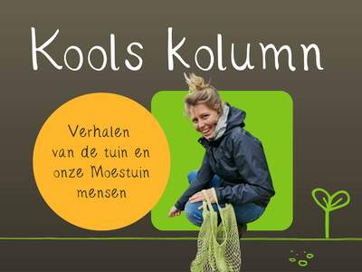 Kools kolumn wensite