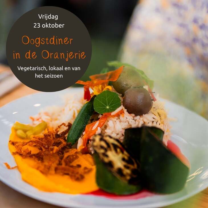 Kopie van Oogstdiner vier de zomer