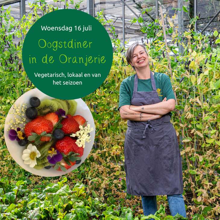 Oogstdiner vier de zomer