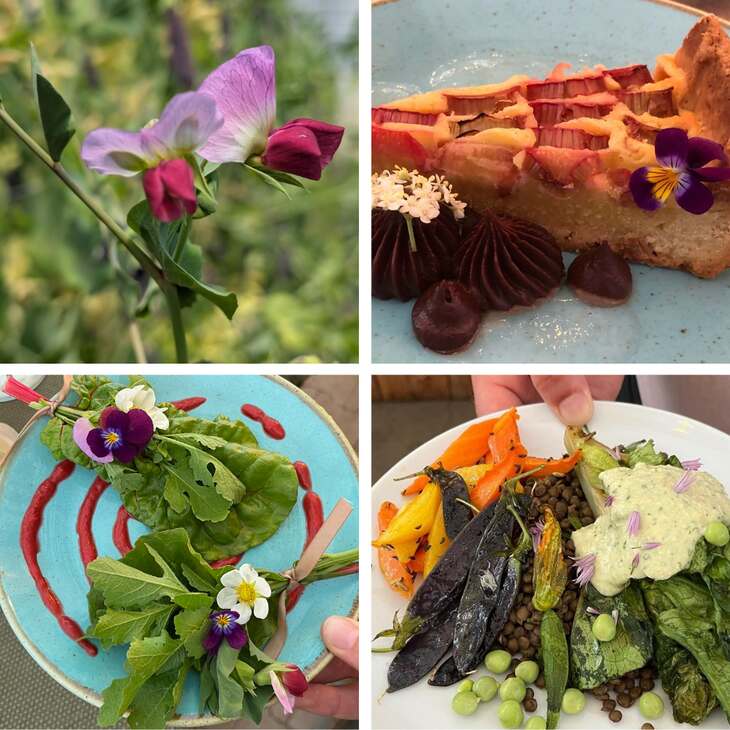 Overview lente oogstdiner
