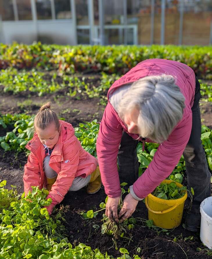 PXL 20250401 073332224.PORTRAIT