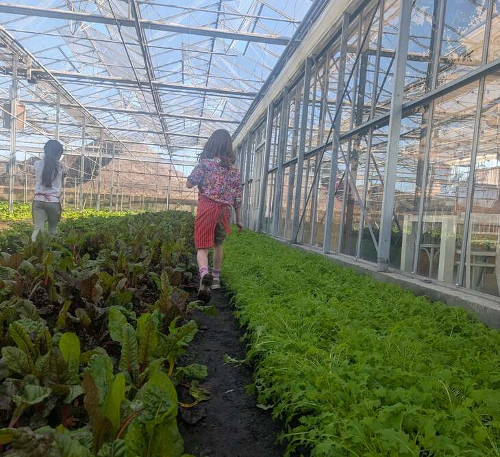 PXL 20250404 132004734.MP2