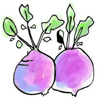 bieten 2 stuks zonder tekst5