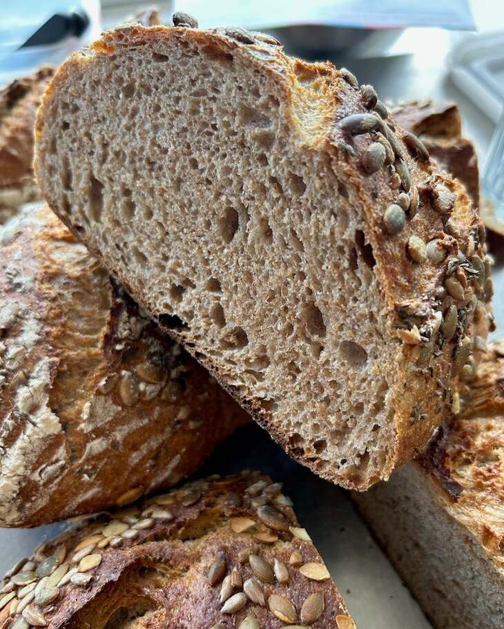 brood 