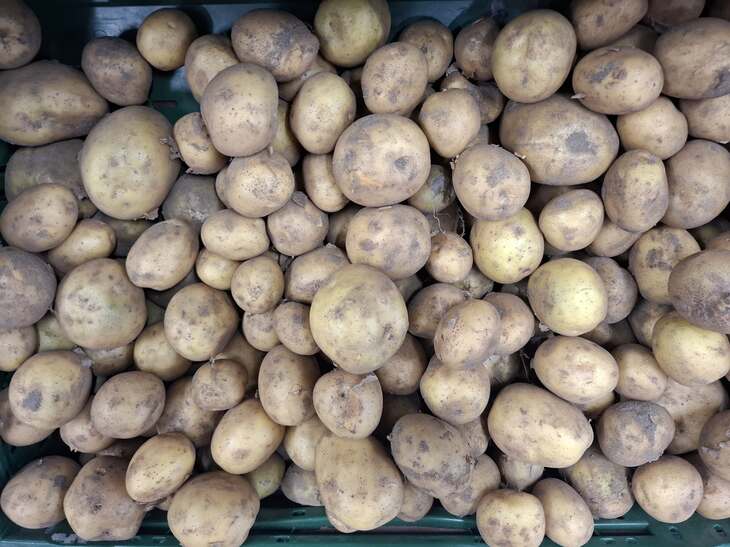 jules aardappels