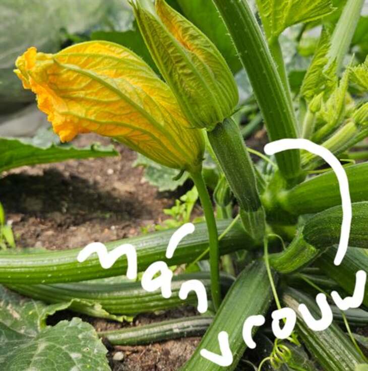man vrouw