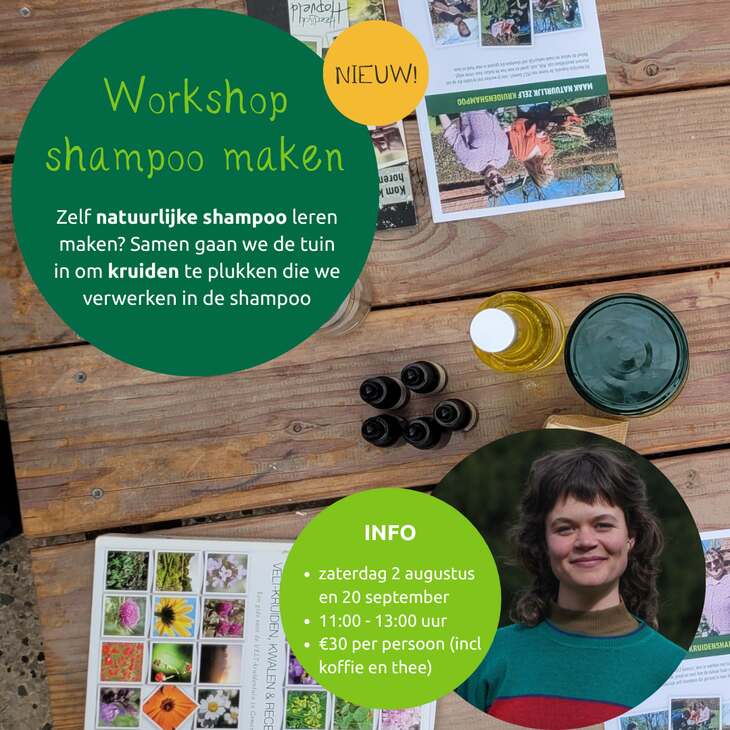 workshop shampoo